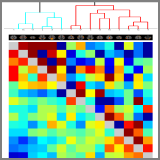 HCP-Development Lifespan 2.0 Release